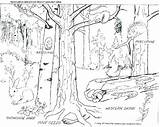Kelp Forest Coloring Pages At GetColoringscom  Free Printable sketch template