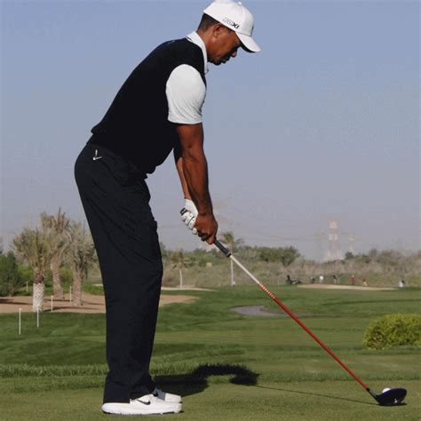 Tiger Woods 2013 Swing Sequence GIF | Golf tips, Golf videos, Golf exercises