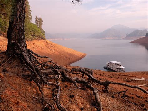 Lake Shasta water level Archives - Bridge Bay Marina