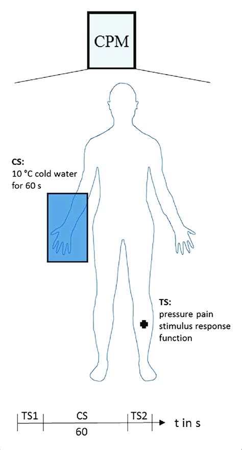 | Conditioned pain modulation paradigm. Test stimulus (TS):... | Download Scientific Diagram