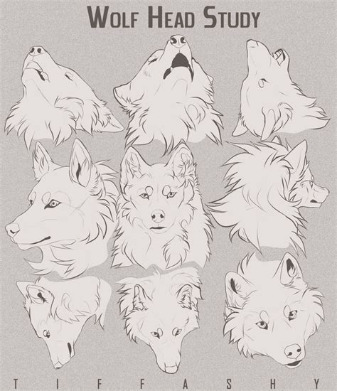 Wolf Head Study/Tutorial by TIFFASHY.devianta... on @DeviantArt | Wolf sketch, Sketches, Animal ...