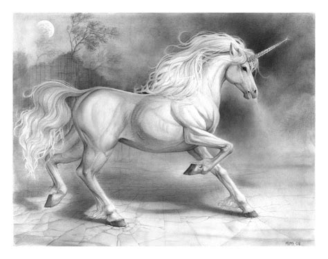 Unicorn Sketch | Unicorn drawing, Unicorn pictures, Unicorn art