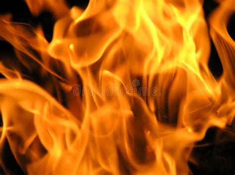 Fire flames stock photo. Image of energy, flame, incendiary - 4544888