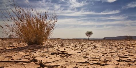 What are the impacts of climate change in Nigeria? - FutureLearn