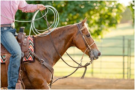 Josh and Bryce Briggs, and Cierra Doyal roping at Briggs Show Horses in ...