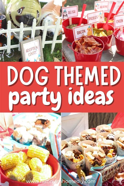 How Do You Plan A Dogs Birthday Party