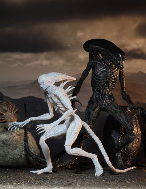 NECA Alien: Covenant Neomorph, Xenomorph, Chestburster figures unveiled ...