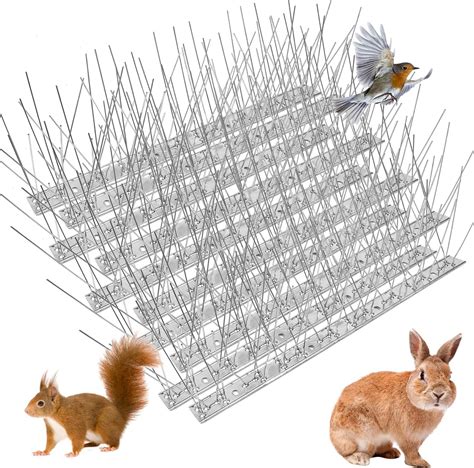 Amazon.com: 10 Packs Bird Spikes, Bird Deterrent Devices Outside, Bird ...