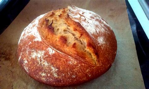 100% Khorasan wheat bread (K***T) | The Fresh Loaf