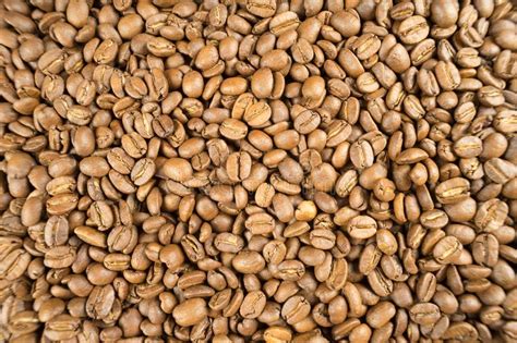 Light Roast vs. Dark Roast Coffee | CoffeeBitz