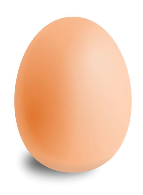 egg PNG