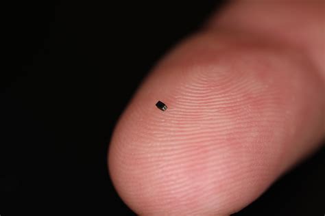 This Tiny Chip Just Set the Guinness World Record for the Smallest Image Sensor