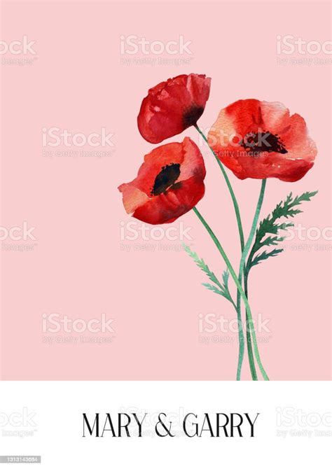 Watercolor Border Of Red Poppies And Leaves On A White Background Stock ...