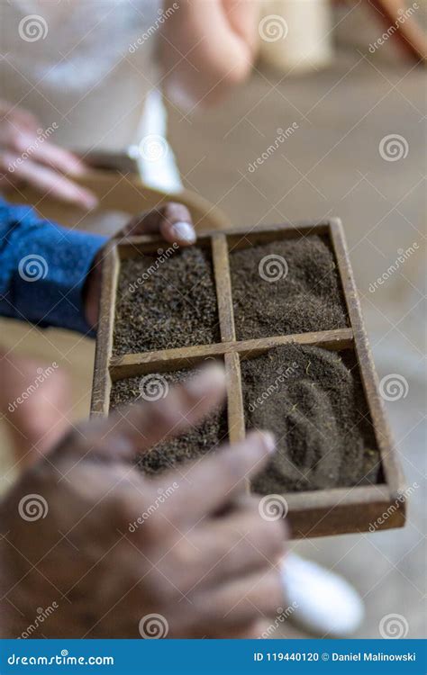 Tea factory stock photo. Image of agriculture, food - 119440120