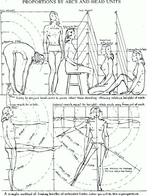 Proportions of the Human Figure : How to Draw the Human Figure in the Correct Proportions - How ...