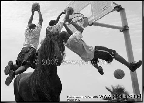 EXTREME HARDCORE FAMOUS SPORTS BASKETBALL PHOTOS Man Jumping Over Horse Dunking Basketball Best ...