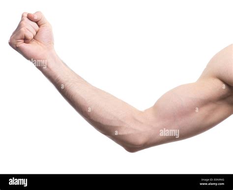 Closeup of a man's arm with hand in a fist isolated on white background ...