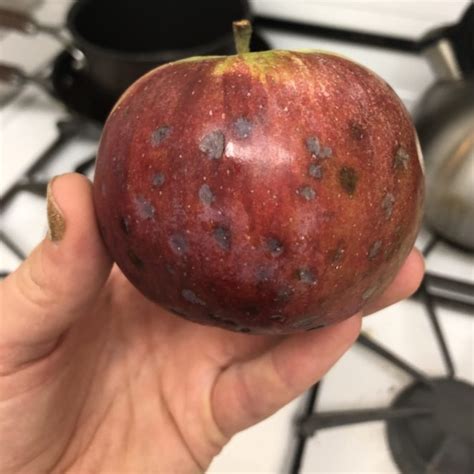 Don't be bitter about these dark, sunken spots on your apple. The rest is still sweet