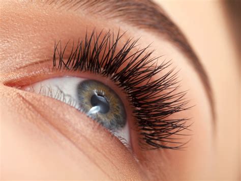 Eyelash Extension Class | Hollywood Makeup School | Los Angeles, San Diego