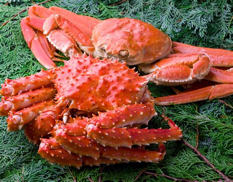 The differences between snow crab and king crab - Royal Greenland A/S