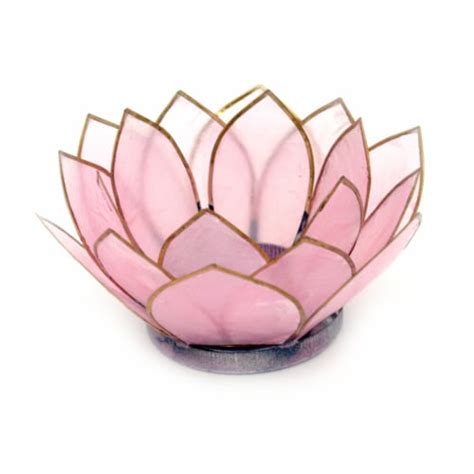 Light Pink Capiz Shell Blooming Lotus Flower Blossom Tealight Candle Holder, One Size - QFC