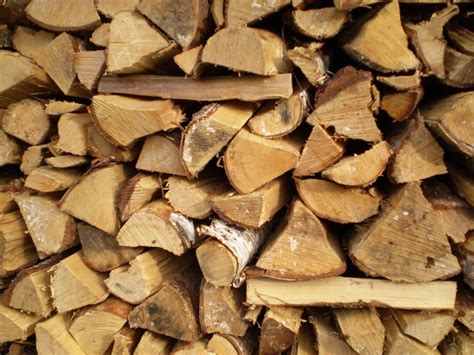 6 Of The Best Types of Firewood To Burn In Campfires