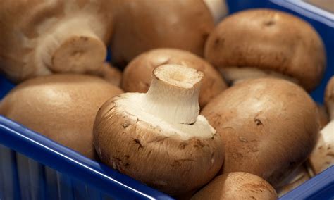 Mushrooms can provide as much vitamin D as supplements - but only if ...