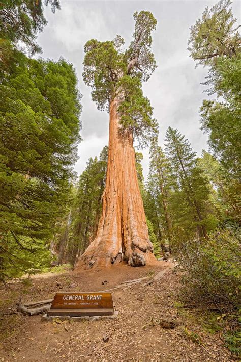 The 6 Best Hikes in Kings Canyon National Park - California Crossroads