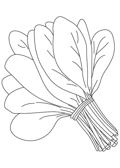 Spinach Bunch Coloring Book To Print And Online - Coloring Home