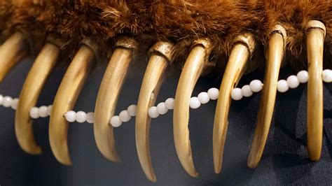 Bear Claw Necklace (Pawnee) | Bear Claw Necklace (Pawnee), b… | Flickr