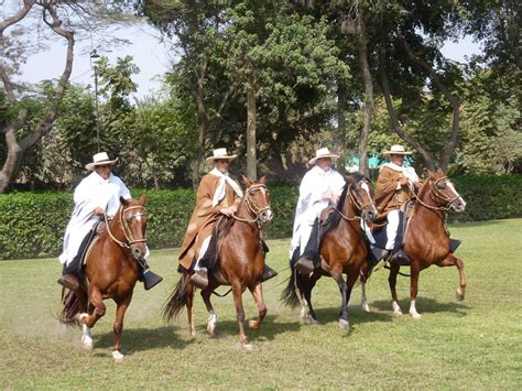 Peruvian paso horse show | Caballos de paso peruanos (Peruvi… | Flickr