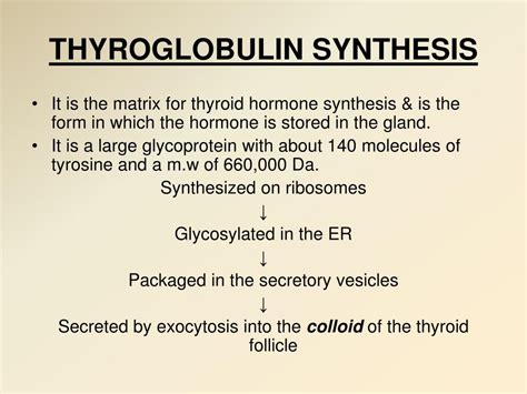 PPT - THYROID PowerPoint Presentation, free download - ID:6386697