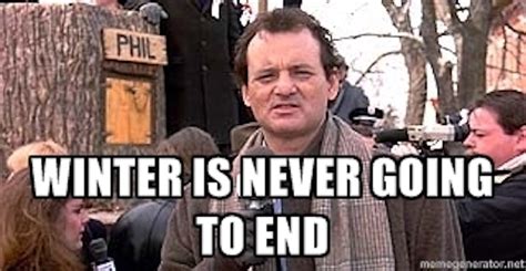 10 Groundhog Day Memes That Celebrate The Ridiculousness Of This Tradition