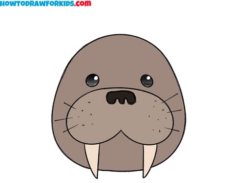 How to Draw a Walrus Face for Kindergarten - Easy Drawing Tutorial