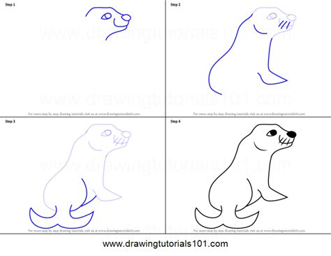 How to Draw a Cartoon Sea Lion Printable Drawing Sheet by ...