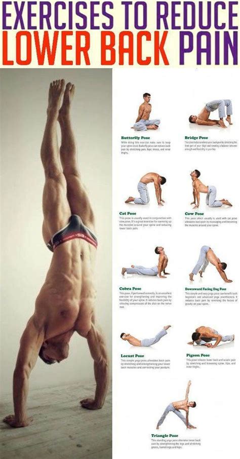 Plank Workout Routine to Flatten Your Abs - The Best Workouts Programs | Exercise, Workout, Abs ...