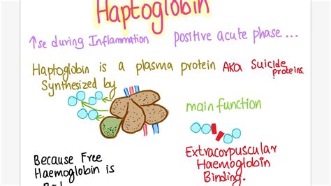 Haptoglobin | Veterinary medicine - YouTube