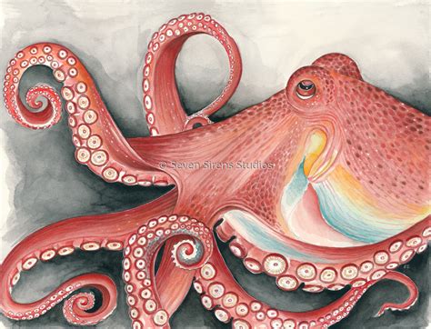 Octopus Watercolor Painting