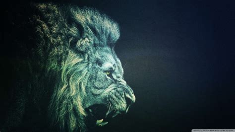 🔥 [44+] Lion Wallpapers HD 1080P | WallpaperSafari