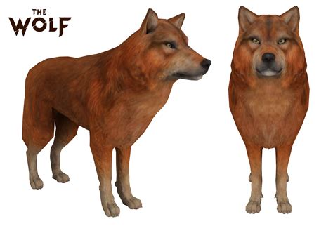 The Wolf: Dhole Wolf by Maxdemon6 on DeviantArt
