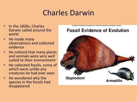 Charles Darwin S Evolution Infographics - vrogue.co