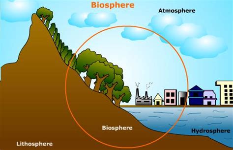 Biophysical Environment - Lady Robinson Beach