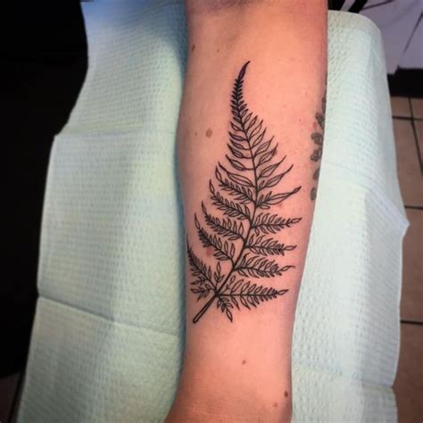 a826bc24dd7d8e1226fa14db72c2eab8.jpg 564×564 Pixel | Fern tattoo ...