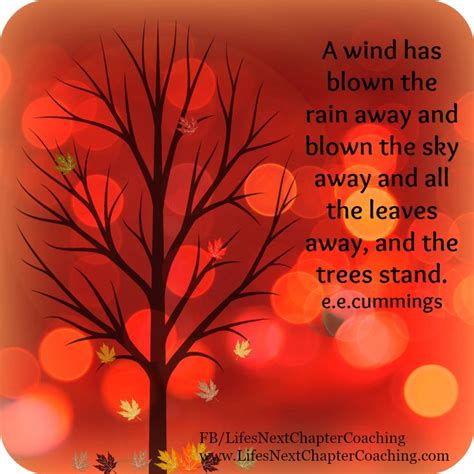 A wind has blown the leaves away, and the trees stand. Find more inspirational quotes at: https ...