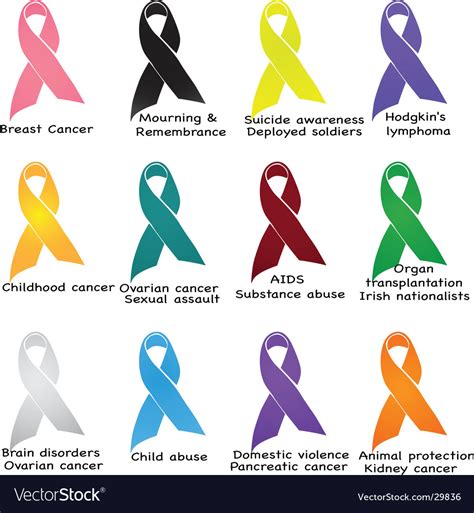 Awareness ribbons Royalty Free Vector Image - VectorStock