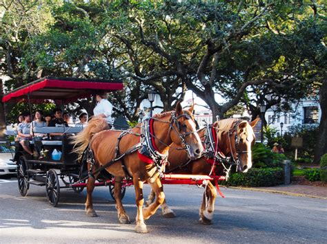 Fun things to do in Savannah GA - Savannah Carriage Tours