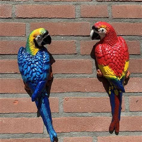 How hard is it to own a macaw? - DIY Seattle