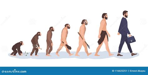 Etapas De La Evolución Humana Proceso Evolutivo Y Visualización Gradual ...