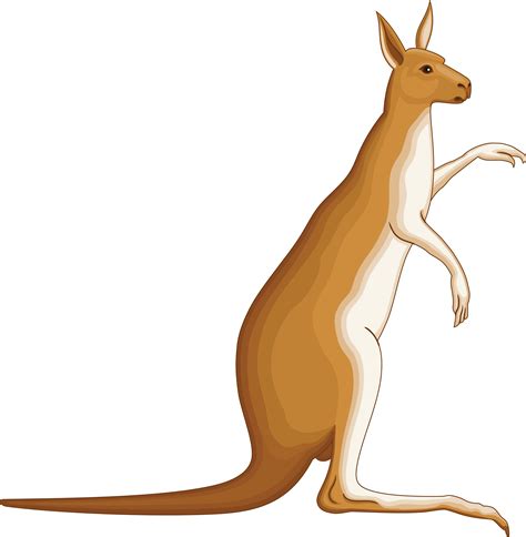 Free Clipart Of A Kangaroo