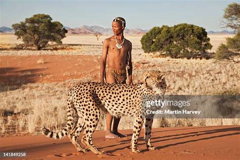 3,246 Aboriginal Hunter Stock Photos, High-Res Pictures, and Images - Getty Images